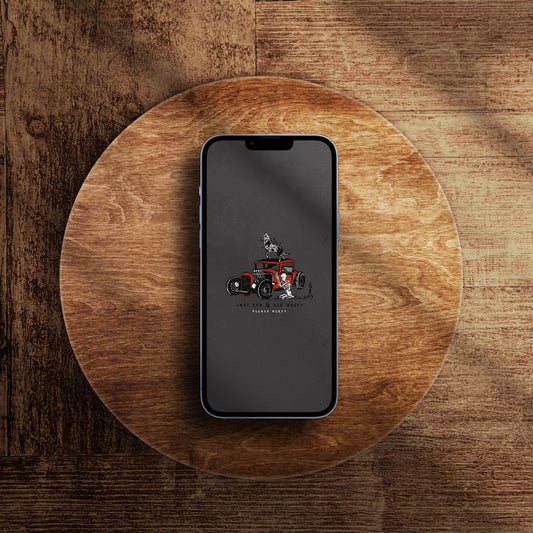 Old Wolf | Wallpaper